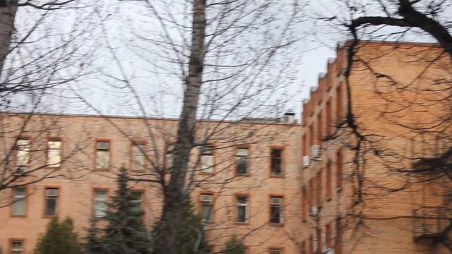 Зелёная дымка... Что это? смотреть онлайн