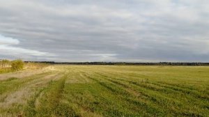 Сумино 387 га Волосовский район 3