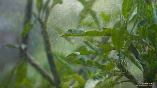 Relaxing ambient music  Sounds of rain  Расслабляющая эмбиент музыка  Звуки дождя