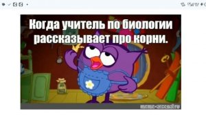 смешарики мемы