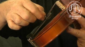 What To Avoid When Buying Your First Violin