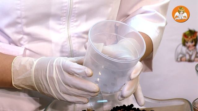 ОРХИДЕЯ Целогина мультифлора. Пересадка в специальный грунт. смотреть онлайн