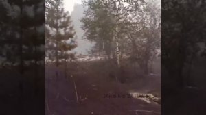 Посёлок Стеклянный после пожара.