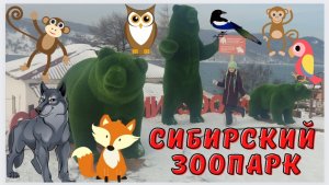 Сибирский зоопарк / Волк- Серёга / Медведь- Сонечка / Листвянка / Зимний Байкал /Гонки по льду/