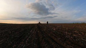 Трактор Т-74 . Культивируем перед посевом...