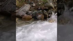 Сакинат Мачишева, новая песня на слова Гебека Конакбиева