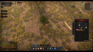 Wild Terra 2 : New Lands "Беги Лола, Беги"