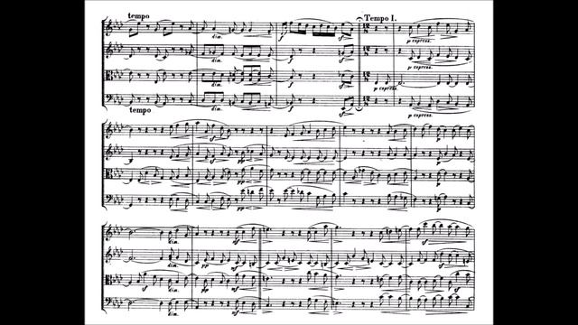 Robert Schumann - String Quartet No.2, Op. 41/2 (with score) смотреть онлайн