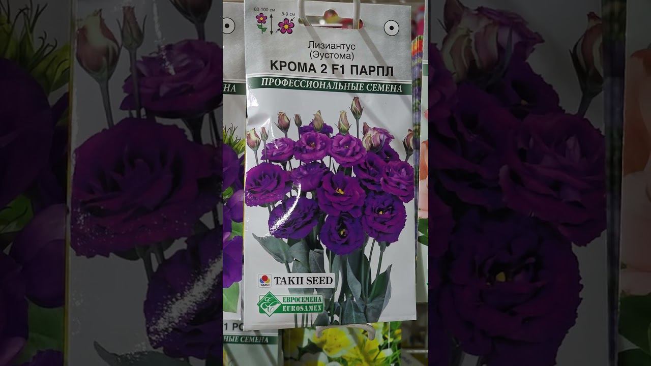 Лучшие сорта эустом  #ассортимент #советысадоводам