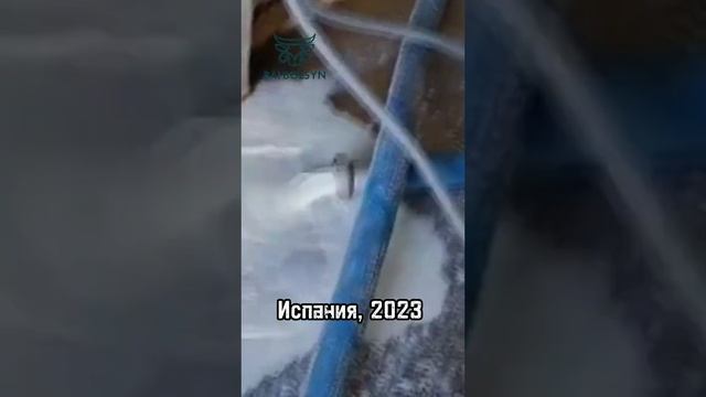 31e6aa50369c0632d4faafc6e0138837.mp4