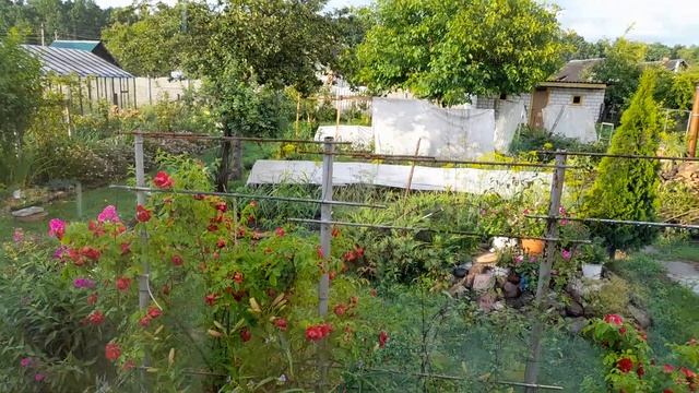 29 июня 2023 г. Наготовила. Освобождаю руки для более интересных занятий смотреть онлайн