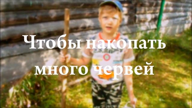 Советы рыбака Сёмы: как копать червей. смотреть онлайн