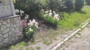 йдемо з останього дзвоника про все по трошки  і пару фоток