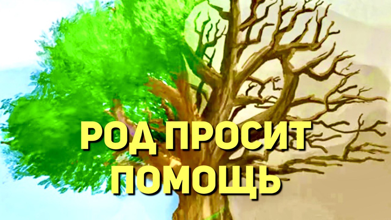 Демон по роду. Муж активировал карму. Подключка от живого деда.