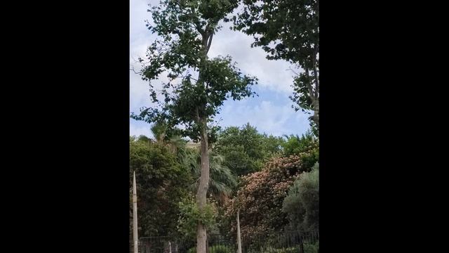 Салаты 6,7 из яиц, краб. палочек, овощей смотреть онлайн