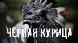 Страшные Истории. ЧЕРНАЯ КУРИЦА. Ужасы.
