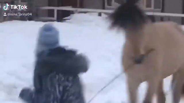 Играем в «Догонялки»