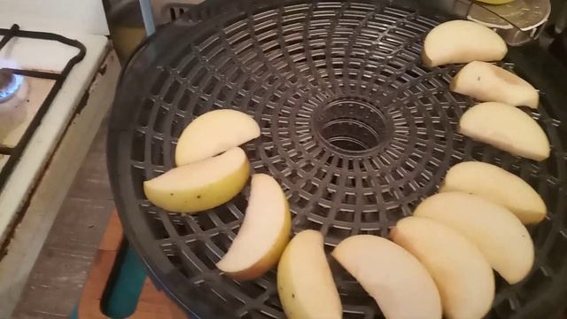 моя электросушилка REDMOND RFD-0157  мойобзорредмонд redmond редмонд