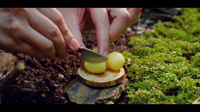 Tiny Roasted chicken outdoor cooking | Turkey Style chicken For Holiday смотреть онлайн