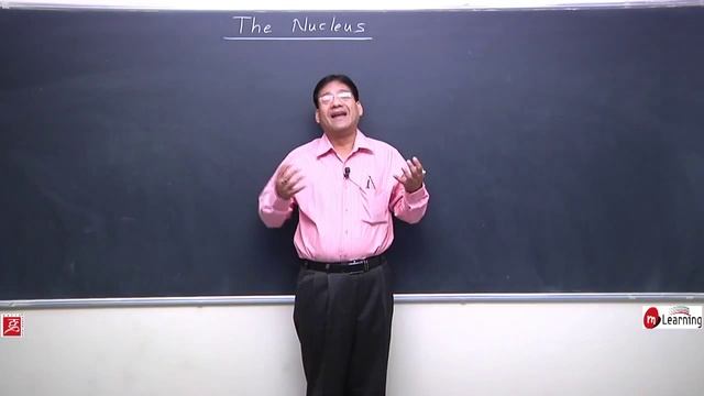 Introduction: The Nucleus - 01 For Class 12th смотреть онлайн