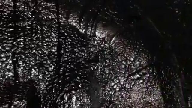 Honda CR-V гость на полную обработку всех четырех арок антикоррозионным составом "жидкие подкрылки" смотреть онлайн