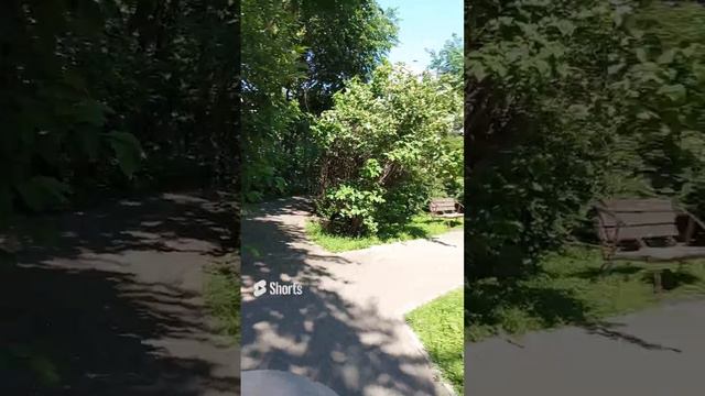 #прогулка #лето #любимыйгород
