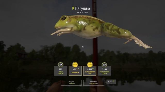 ЗАКРЫЛ оз. Комариное | ТРОФ Лягушка | Русская Рыбалка 4