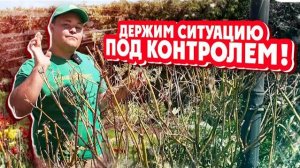 ДЕРЖИМ СИТУАЦИЮ ПОД КОНТРОЛЕМ! Что делать после возвратных заморозков?