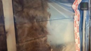 Монтаж электрики в бане!