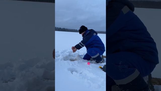 Тащим увесистую мамку на лесном озере