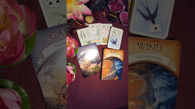 Карта дня! Колесница 27 октября 2022! смотреть онлайн