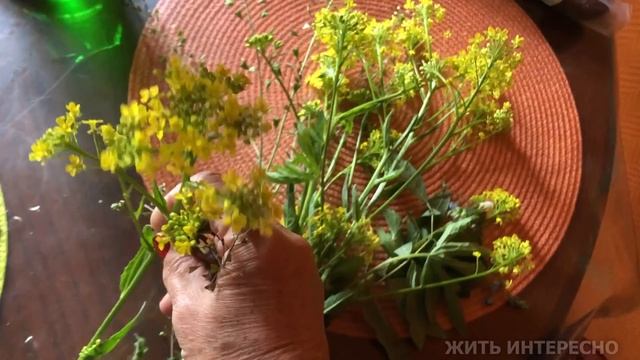 МАННА ЦВЕТОЧНАЯ, или СТАБИЛИЗИРОВАННЫЕ БУКЕТЫ. смотреть онлайн