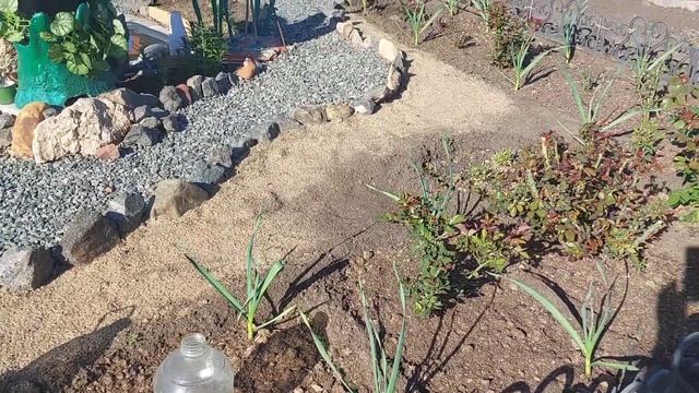 Утро, обзор огородика 18 мая. смотреть онлайн