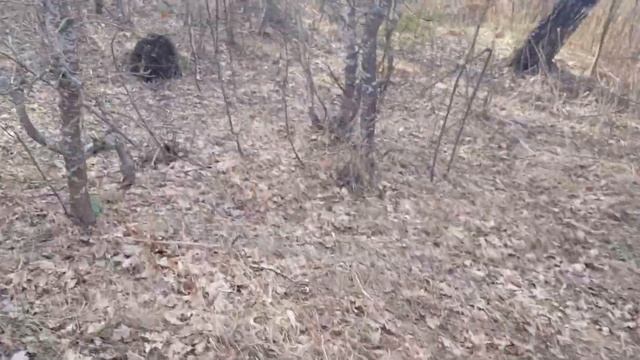 РЫБАЛКА НА ВЕРШУ.ЛИНЬ ВЕСНОЙ смотреть онлайн