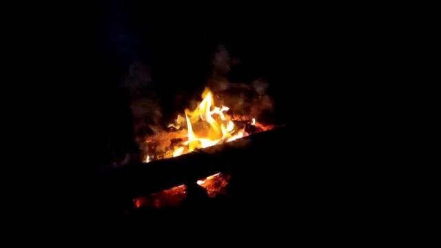 Бровченко//Слова расходятся с реальностью//Обзор видео//