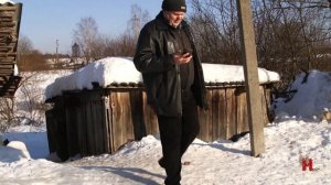 Собака - друг или враг? Жители города опасаются безнадзорных животных.