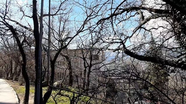 Ялта Массандра 19 февраля 2022 ОБЗОР смотреть онлайн