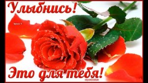 НАТАЛИ   УЛЫБОЧКУ