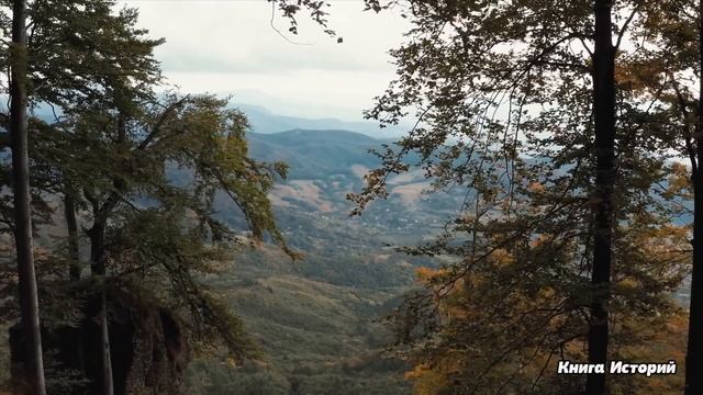 Найдя телефон в мусорной корзине, уборщица решила с него позвонить…А когда узнала кому принадлежит. смотреть онлайн