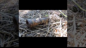 Неожиданная находка в лесу, при сборе грибов