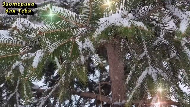 Сегодня 30 января день неожиданной прибыли, съешьте кусочек хлеба с солью и скажите смотреть онлайн