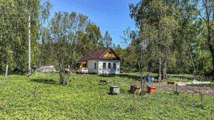 Поднимаем хозяйство на хуторе. Будем есть натуральные и вкусные продукты