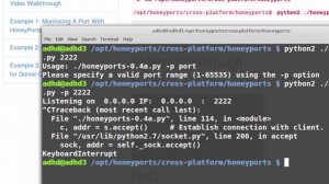 Messing with Portscans with Honeyports (Cyber Deception) - John Strand