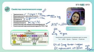 Пластический обмен: трансляция, транскрипция | Биосинтез белка| ОГЭ Биология 2024