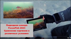 Подводная камера FocusFish зима 2022-2023. Сравнение картинки в различных условиях.