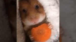 я в 3 часа ночи