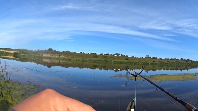 Фидер на реке Daugava. Любит ли рыба горох???☝️ смотреть онлайн