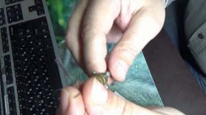 Отличные свёрла 0.8мм и 1.0мм из Китая