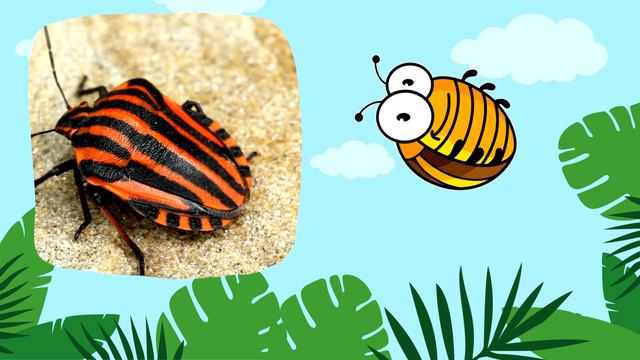 Учим НАСЕКОМЫХ для самых маленьких Развивающие мультики для детей