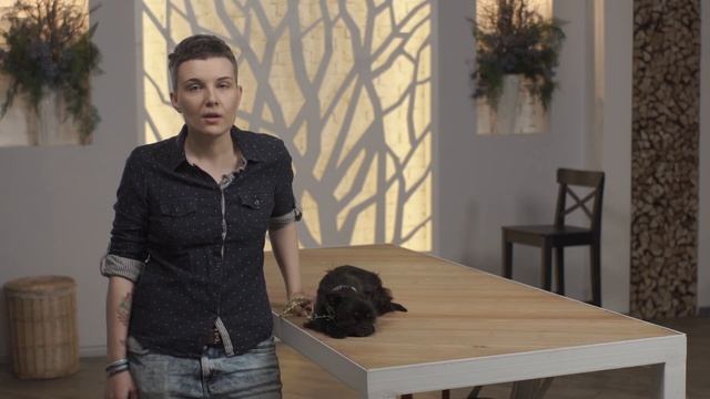 Как правильно хвалить и ругать собаку? смотреть онлайн